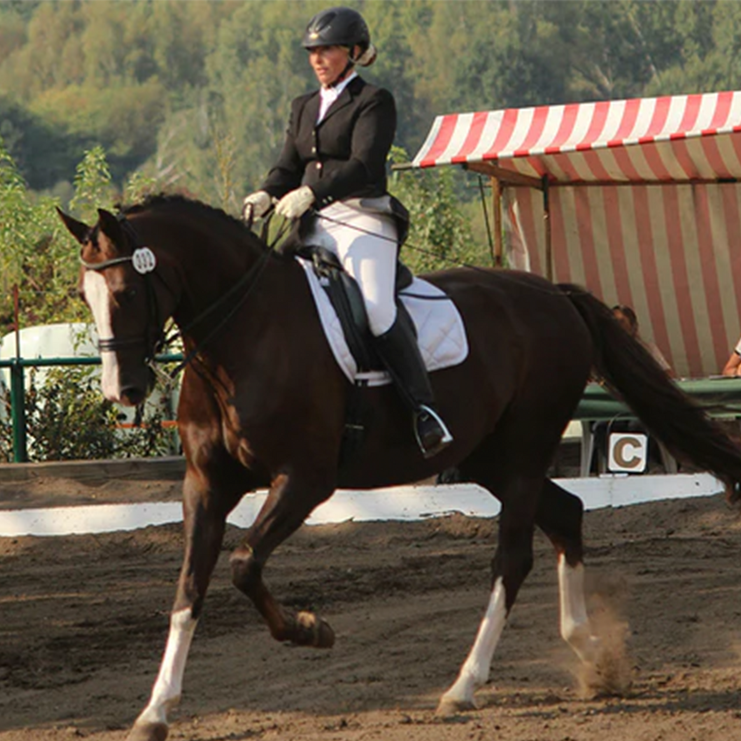 Unveiling the Physical Toll: Aches and Pains in Dressage Equestrians