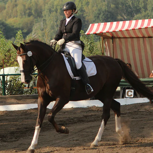 Woman riding dressage