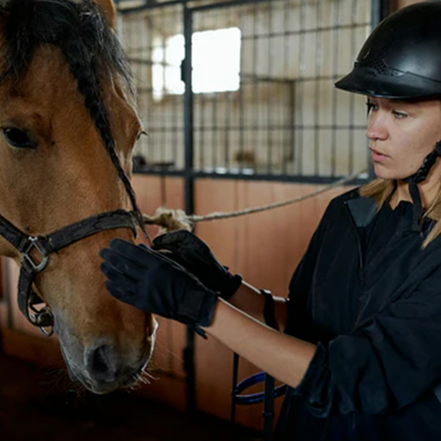 The Science of Serenity: Proven Effects of CBD on Equestrian Anxiety